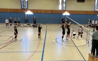 Volleyball: Damen & 1.Herren erfolgreich